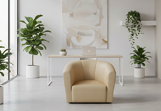 Кресло мягкое Лагуна нераскладное